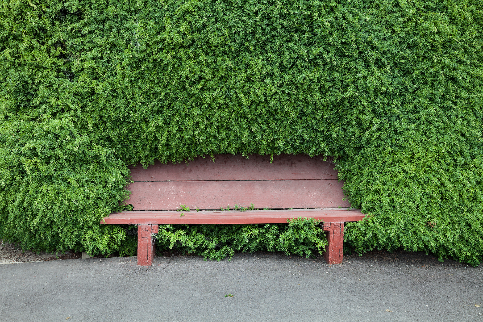 Park Bench, Temuka - Space Studio &amp; Gallery