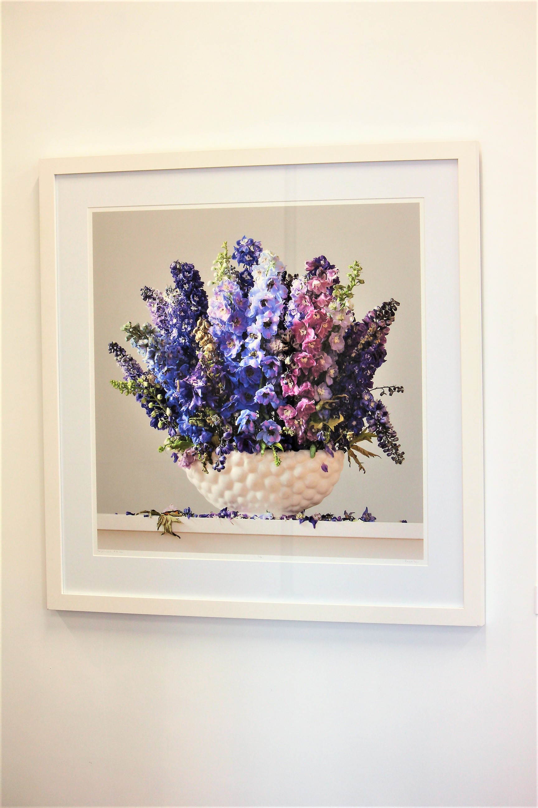 Emma Bass- Delphiniums, 8.22am - Space Studio & Gallery